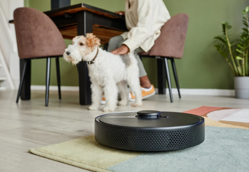 should i buy a robot vacuum cleaner