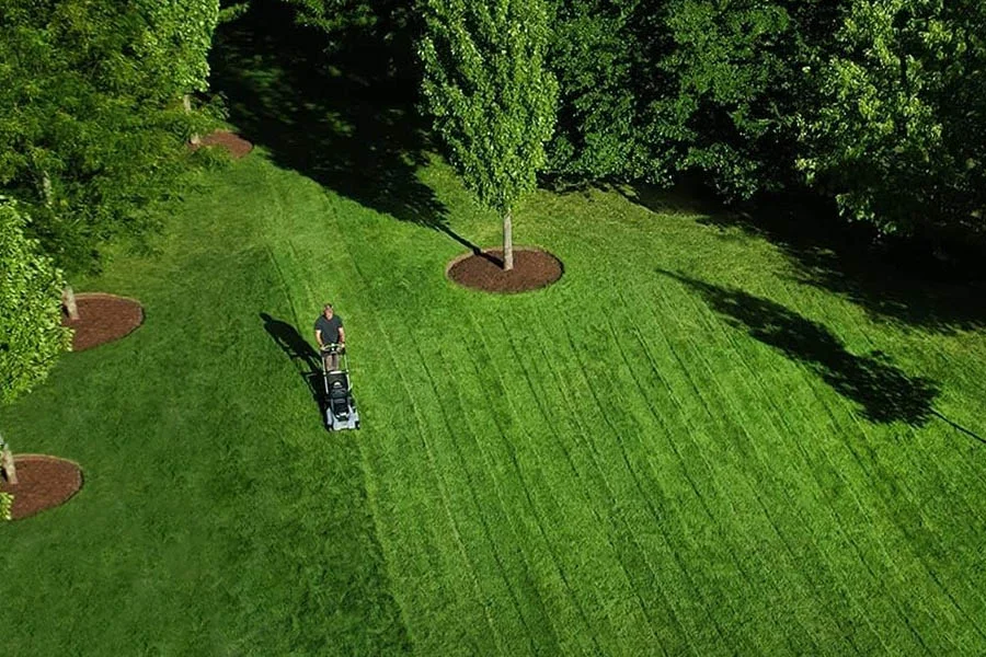 good cordless lawn mower