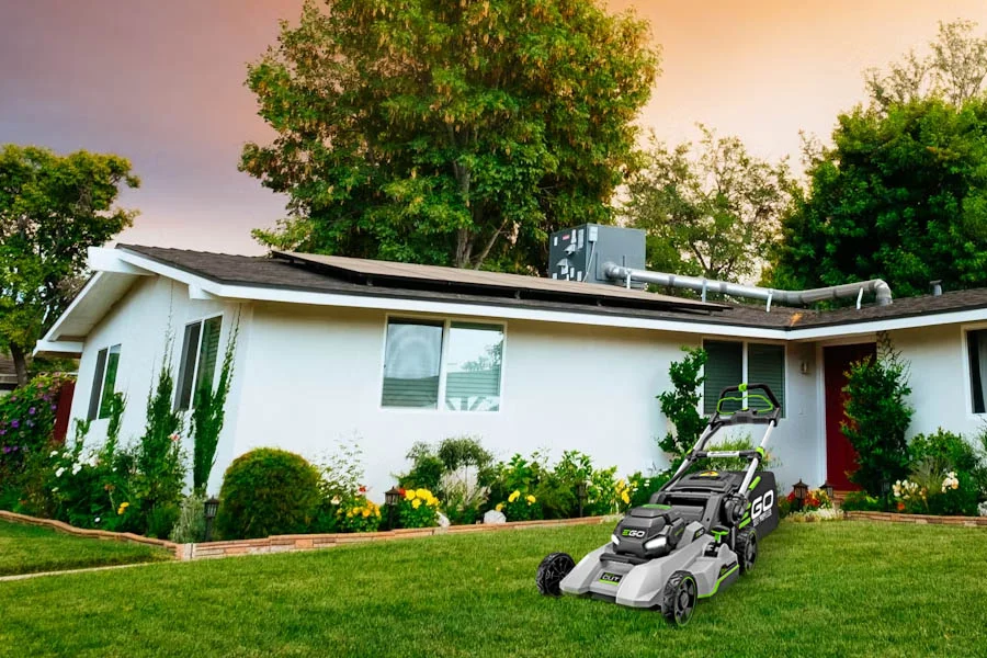 small lawn mower cordless