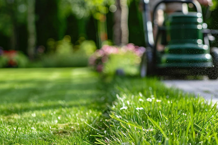 lawn mower for small yard