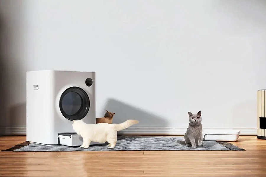 litterboxes